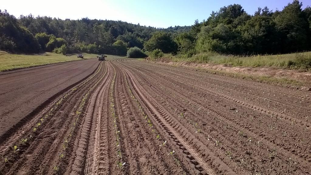 Agroturism Stara Stala Hotel Borut ภายนอก รูปภาพ