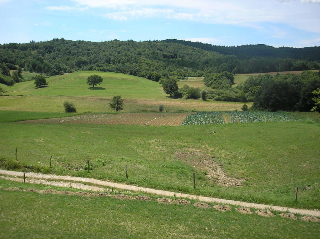 Agroturism Stara Stala Hotel Borut ภายนอก รูปภาพ